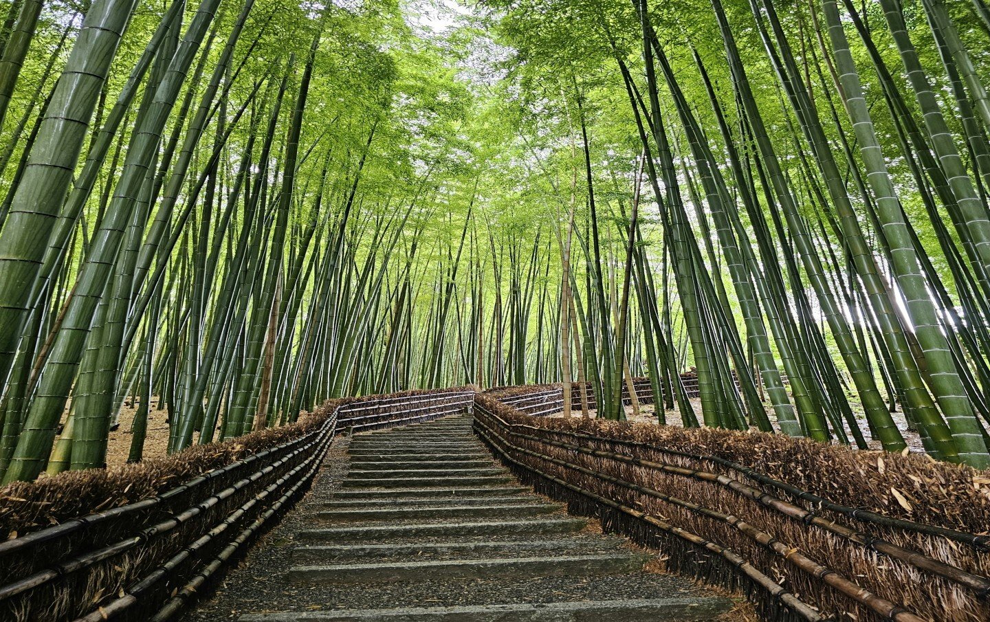 suyash-mahar-ECKpIG-ctsI-unsplash (1)